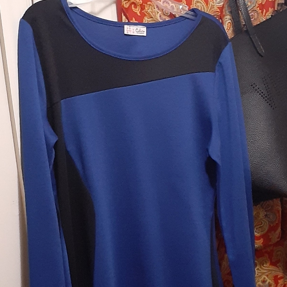 Long sleeve color block mini dress